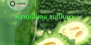 มะระขี้นก หวานเป็นลม... ขมเป็นยา