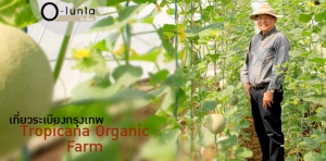 เที่ยวระเบียงกรุงเทพ Tropicana Organic Farm