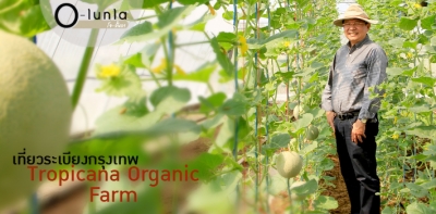 เที่ยวระเบียงกรุงเทพ Tropicana Organic Farm