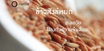 ข้าวสังข์หยด ชะลอวัย ป้องกันโรคความจำเสื่อม